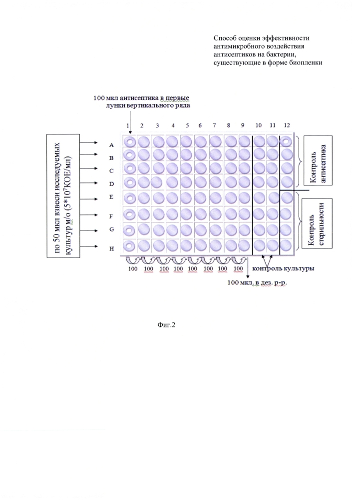 Способ оценки эффективности антимикробного воздействия антисептиков на бактерии, существующие в форме биопленки (патент 2603100)