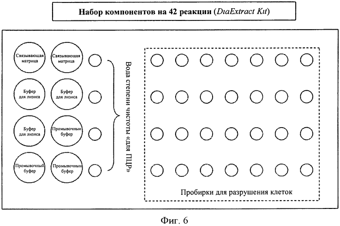 Способ специфического выделения полного днк-содержимого бактериальных возбудителей инфекции (патент 2567809)