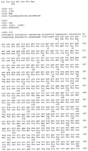 Гены corynebacterium glutamicum, кодирующие белки, участвующие в синтезе мембран и мембранном транспорте (патент 2312145)