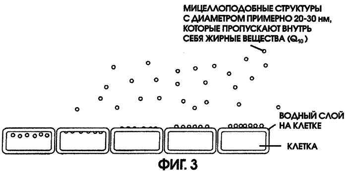 Водорастворимый безводный концентрат убихинона q10, способ его приготовления, капсула, средство для ухода за кожей и средство для ухода за зубами, содержащие его (патент 2287981)