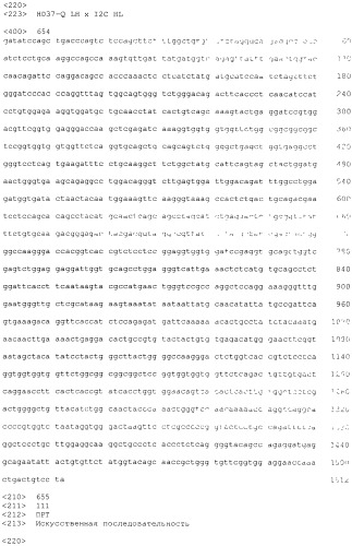 Pscaxcd3, cd19xcd3, c-metxcd3, эндосиалинxcd3, epcamxcd3, igf-1rxcd3 или fap-альфаxcd3 биспецифическое одноцепочечное антитело с межвидовой специфичностью (патент 2547600)