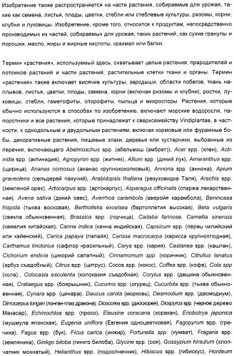 Способ повышения выхода семян растения, способ производства трансгенного растения, имеющего повышенную урожайность семян, генная конструкция для экспрессии в растении и трансгенное растение (патент 2409938)