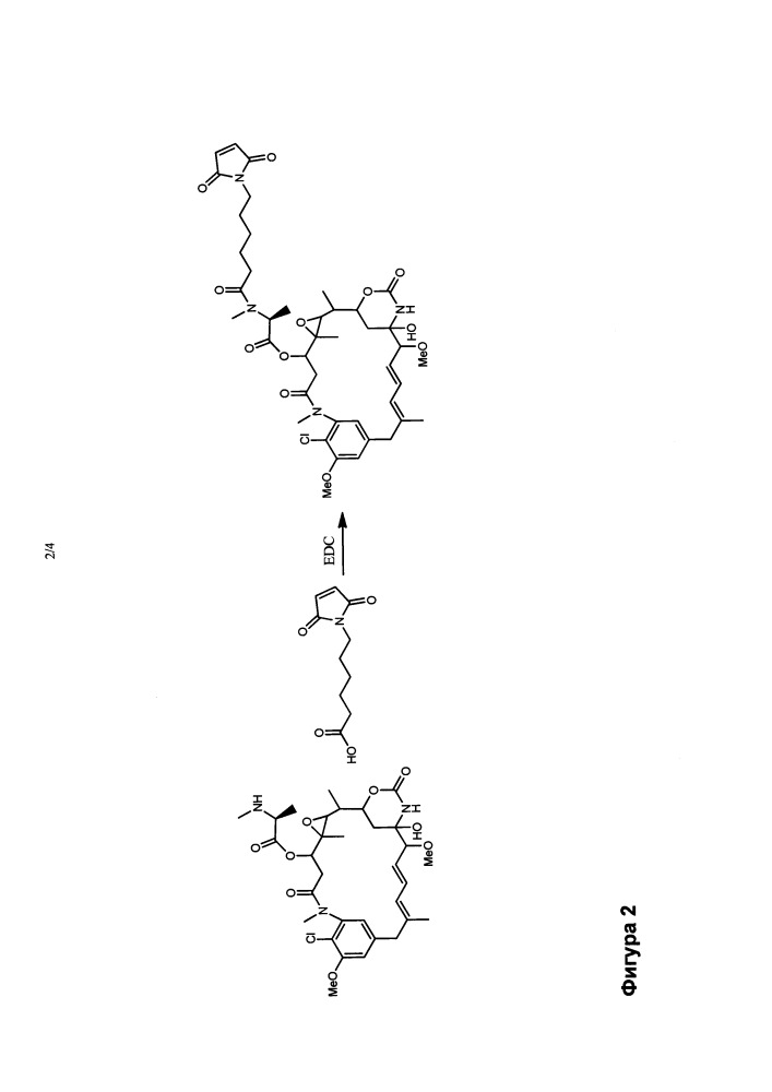 Улучшенные способы ацилирования майтанзинола (патент 2648992)