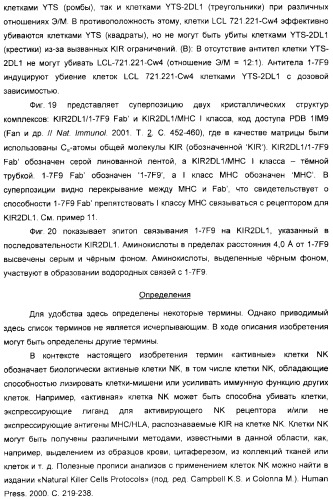 Антитела, связывающиеся с рецепторами kir2dl1,-2,-3 и не связывающиеся с рецептором kir2ds4, и их терапевтическое применение (патент 2410396)