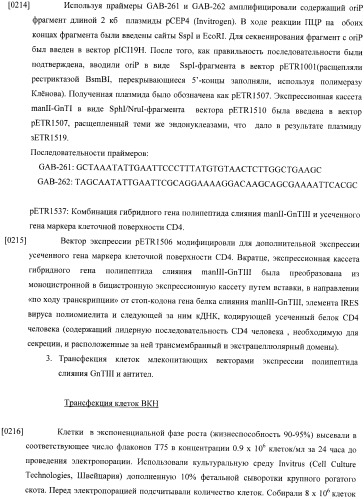 Конструкции слияния и их применение для получения антител с повышенными аффинностью связывания fc-рецептора и эффекторной функцией (патент 2407796)