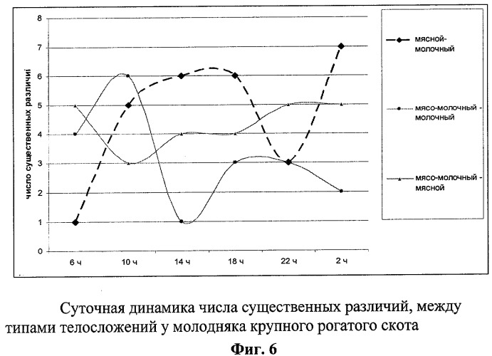 Способ прогнозирования типа телосложения у крупного рогатого скота (патент 2294100)