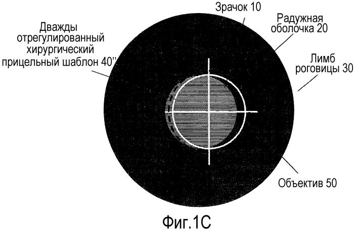 Формирование изображений операционной ткани-мишени посредством нелинейного сканирования (патент 2575967)