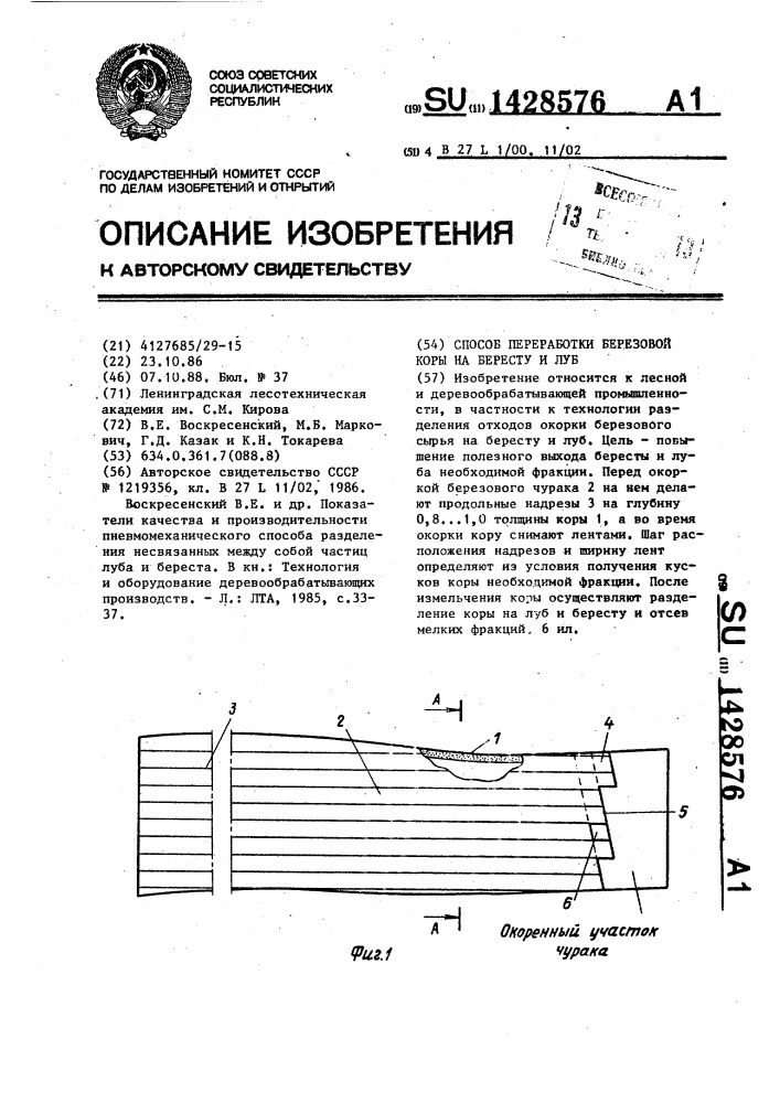 Способ переработки березовой коры на бересту и луб (патент 1428576)