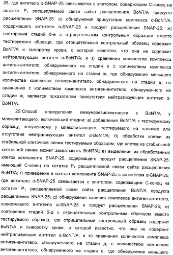 Иммунологические анализы активности ботулинического токсина серотипа а (патент 2491293)