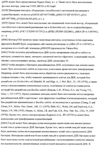 Использование фосфокетолазы для продукции полезных метаболитов (патент 2322496)