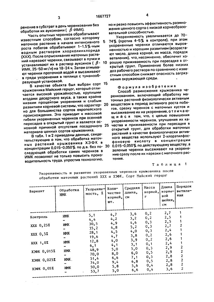 Способ размножения крыжовника черенкованием (патент 1667727)