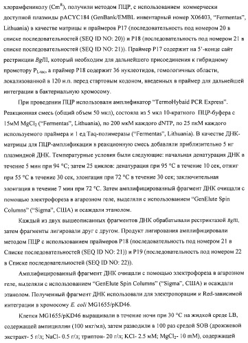 Способ получения l-аминокислот с использованием бактерии, принадлежащей к роду escherichia (патент 2312893)