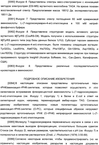 Генетически кодируемые флюоресцентные кумариновые аминокислоты (патент 2473690)