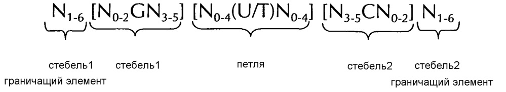 Нуклеиновая кислота, содержащая или кодирующая структуру "стебель-петля" гистонов и последовательность поли(а) или сигнал полиаденилирования, для повышения экспрессии кодируемого терапевтического белка (патент 2634391)