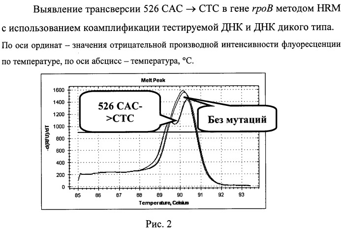 Способ выявления устойчивых к рифампицину изолятов mycobacterium tuberculosis (патент 2485177)