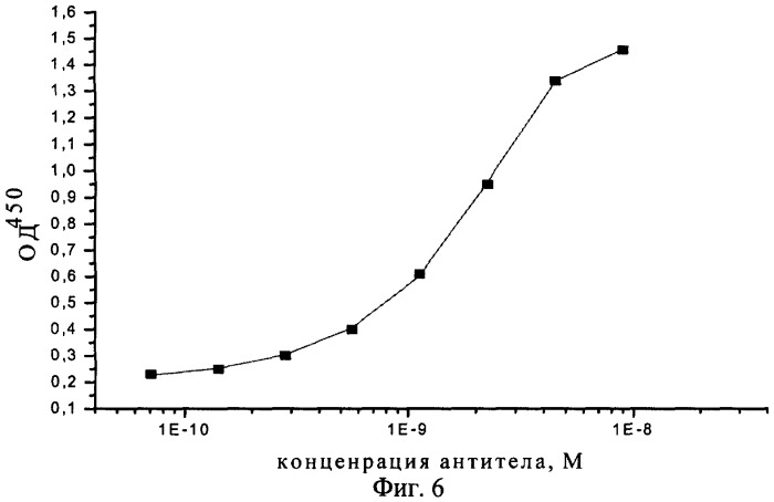 Рекомбинантная фагмидная днк phen-tab, содержащая ген одноцепочечного антитела человека, способного связывать фактор некроза опухоли альфа человека; рекомбинантный штамм бактерий escherichia coli-продуцент одноцепочечного антитела человека против фактора некроза опухоли альфа человека; рекомбинантное растворимое одноцепочечное антитело человека против фактора некроза опухоли альфа человека (патент 2307163)