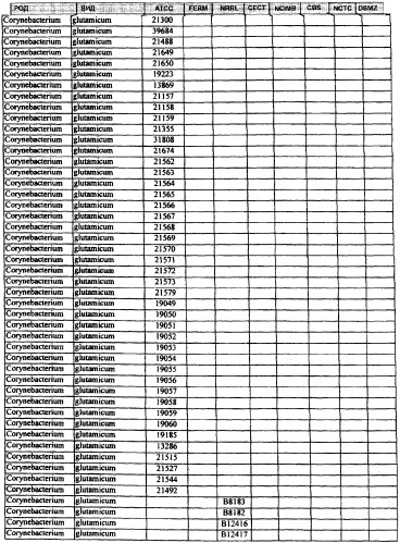 Гены corynebacterium glutamicum, кодирующие белки, участвующие в гомеостазе и адаптации (патент 2304616)