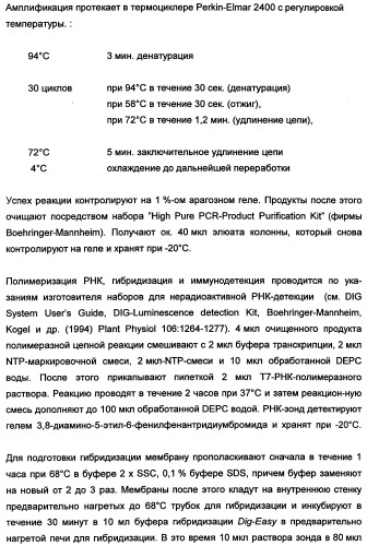 Новые последовательности нуклеиновых кислот и их применение в способах достижения устойчивости к патогенам в растениях (патент 2346985)