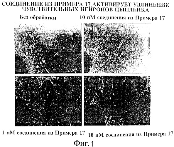 Ингибиторы ферментативной активности ротамазы, являющиеся малыми молекулами (патент 2269514)