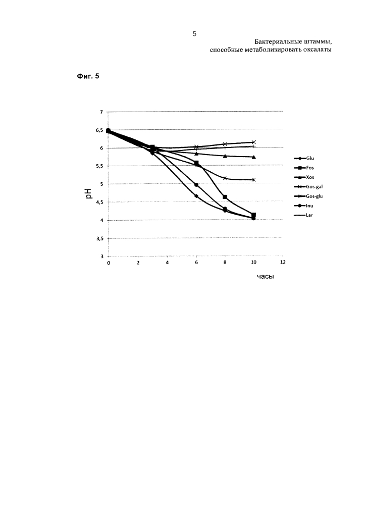 Бактериальный штамм, способный метаболизировать оксалаты (патент 2624033)