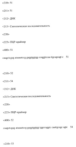 Модифицированное агонистическое антитело (патент 2295537)