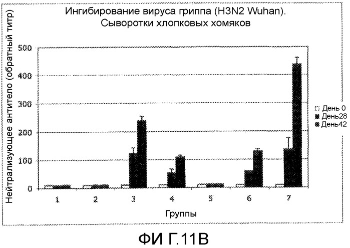 Иммуногенные композиции и способы (патент 2468034)