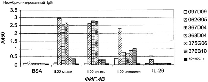 Способы применения антител к il-22 человека (патент 2445976)