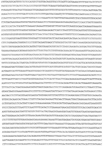 Применение s1p (патент 2362565)