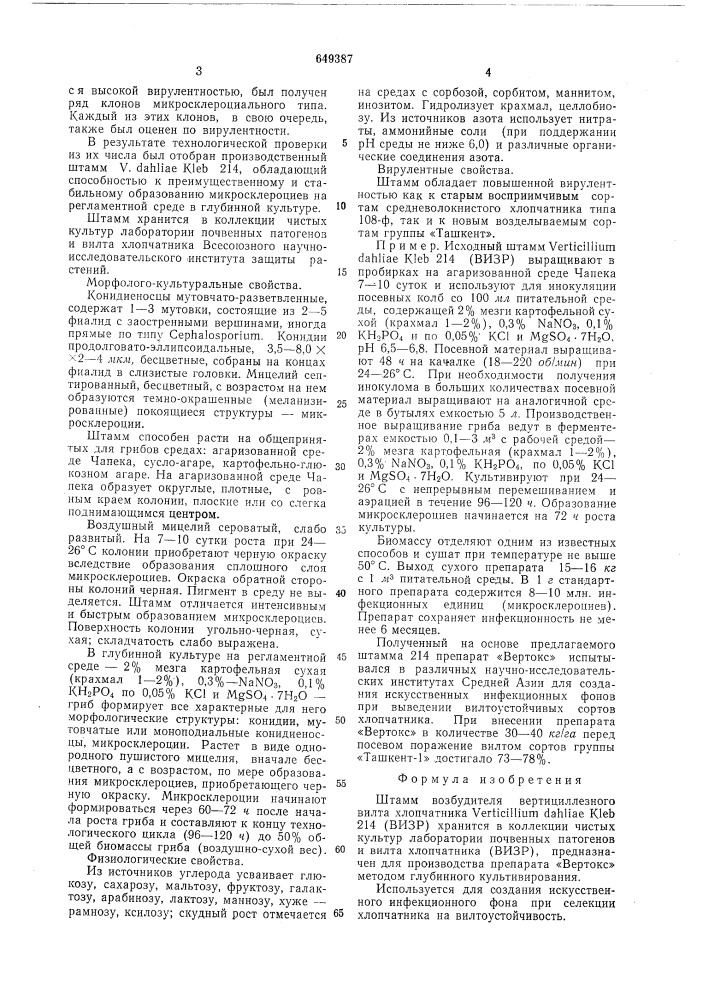 Штамм возбудителя вертициллезного вилта хлопчатника (патент 649387)