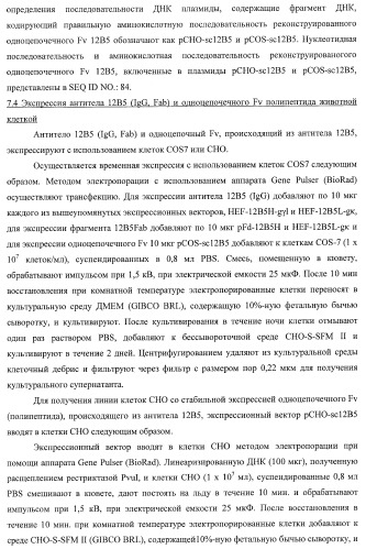 Днк, кодирующая модифицированное антитело или соединение с активностью агониста тро, способ их получения и животная клетка или микроорганизм, их продуцирующие (патент 2422528)