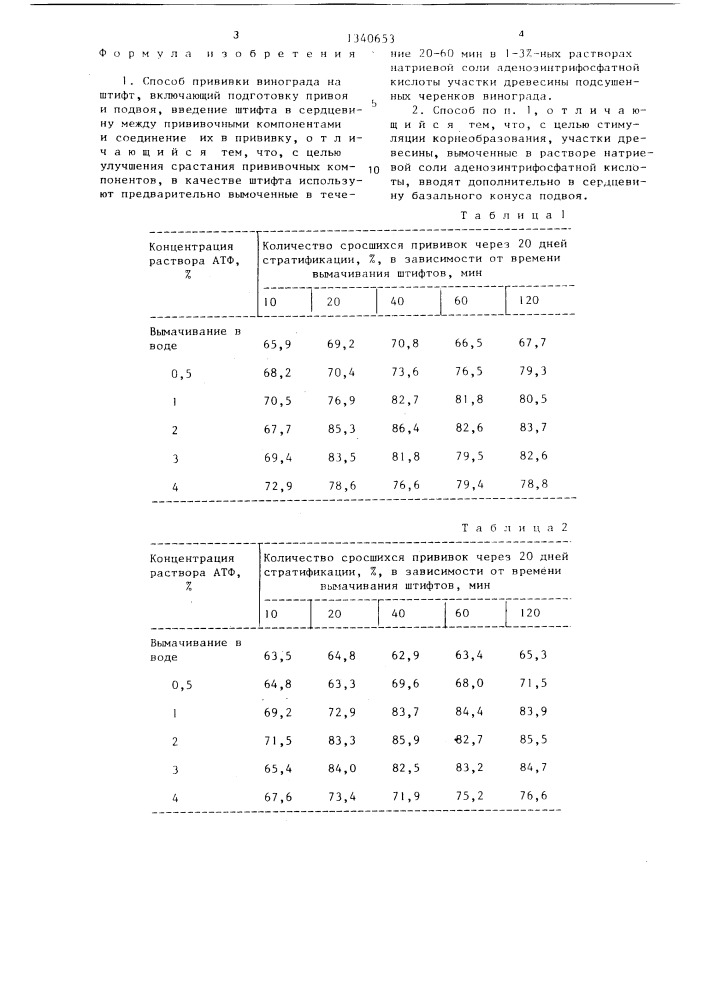 Способ прививки винограда на штифт (патент 1340653)