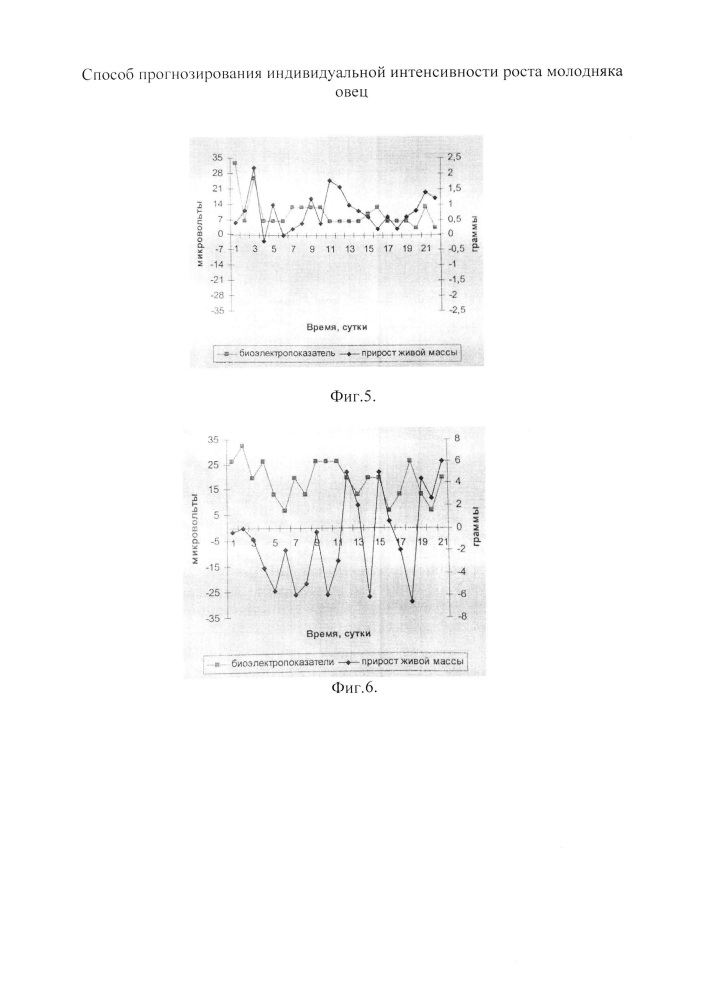 Способ прогнозирования индивидуальной интенсивности роста молодняка овец (патент 2662905)