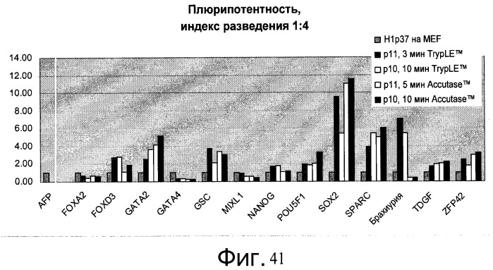 Культура плюрипотентных стволовых клеток на микроносителях (патент 2555538)