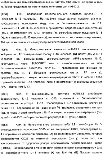 Антитела против интерлейкина-13 человека и их применение (патент 2427589)