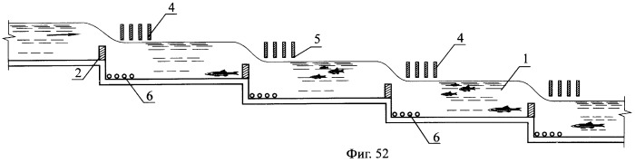 Рыбоход (варианты) (патент 2249653)
