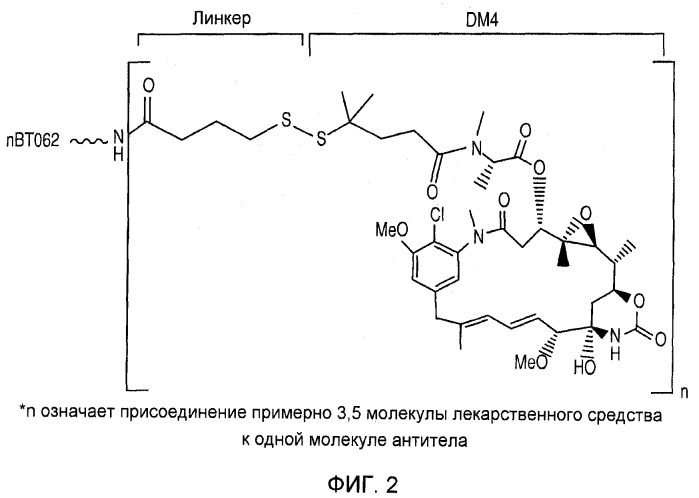 Агенты против клетки-мишени, нацеленные на cd138, и их применение (патент 2537265)