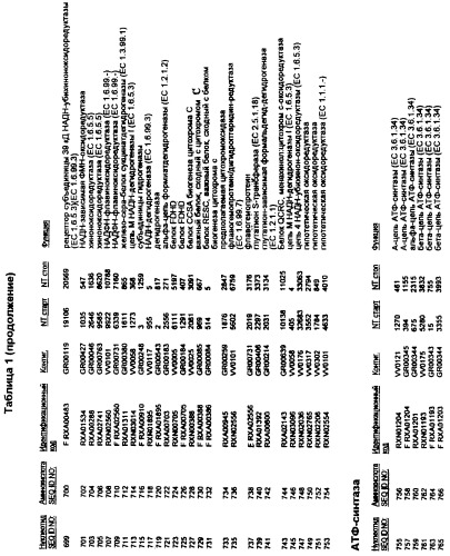 Гены corynebacterium glutamicum, кодирующие белки, участвующие в метаболизме углерода и продуцировании энергии (патент 2310686)