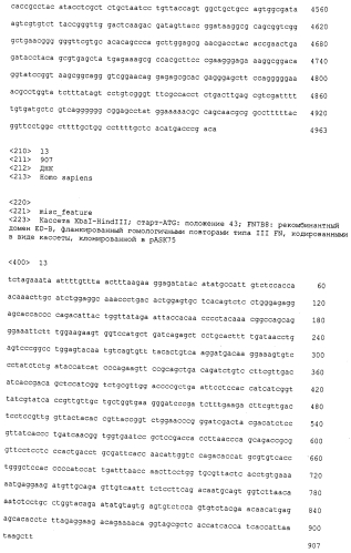 Мутеины липокалина 2 человека (lcn2, hngal) с аффинностью для определенной мишени (патент 2564125)