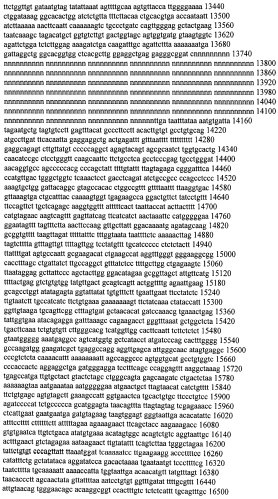 Модуляция экспрессии гентингтина (патент 2562861)