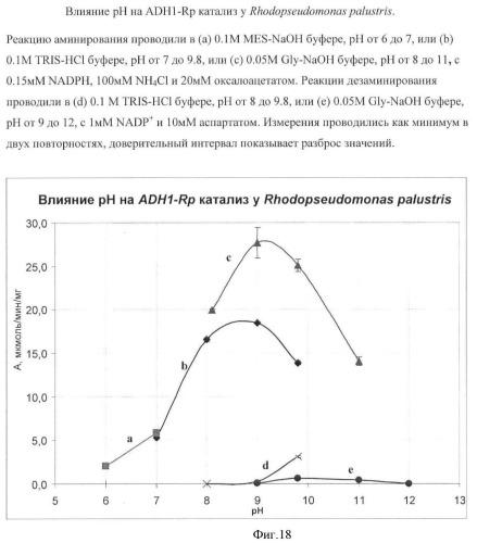 Бактерия семейства enterobacteriaceae - продуцент l-аспарагиновой кислоты или метаболитов, производных l-аспарагиновой кислоты, и способ получения l-аспарагиновой кислоты или метаблитов, производных l-аспарагиновой кислоты (патент 2472853)