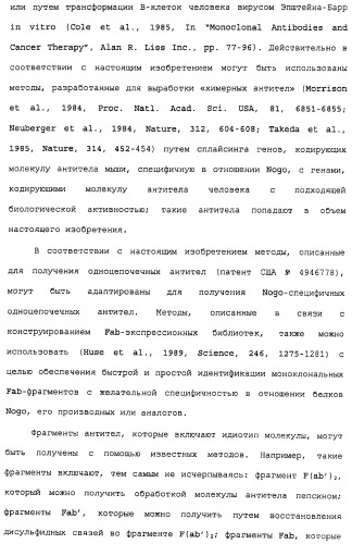 Поликлональное антитело против nogo, фармацевтическая композиция и применение антитела для изготовления лекарственного средства (патент 2432364)