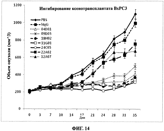 Антитела к erbb3 (патент 2568051)