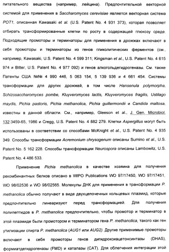 Выделенный полипептид, связывающий рецептор zalpha11-лиганда (варианты), кодирующий его полинуклеотид (варианты), вектор экспрессии (варианты) и клетка-хозяин (варианты) (патент 2346951)