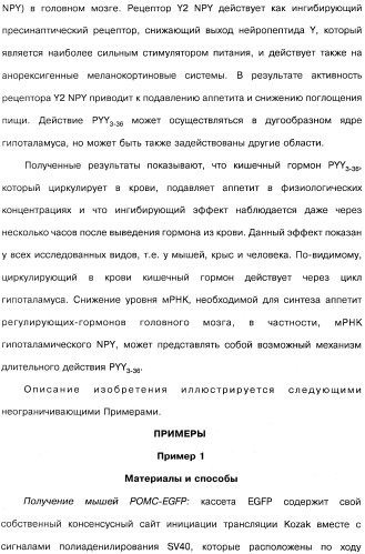 Способ модификации пищевого поведения и применение pyy или его агониста в качестве средства для модификации пищевого поведения (патент 2317104)