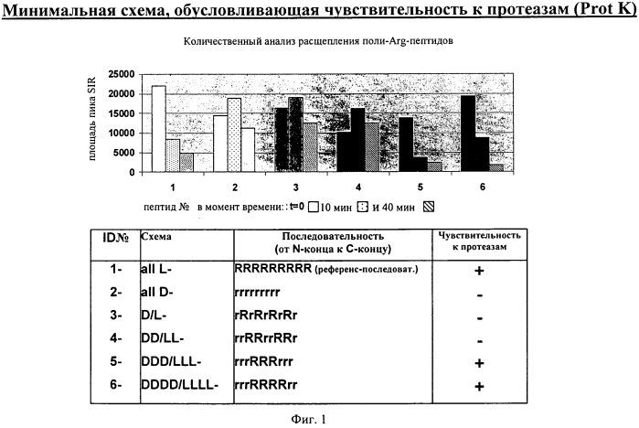 Новые конструкции транспортеров и молекулы-конъюгаты, являющиеся транспортерами карго-молекул (патент 2570632)