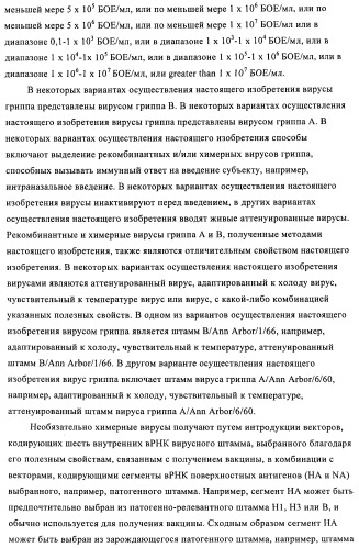 Способы и композиции для экспрессии антисмысловой вирусной рнк в клетках собаки (патент 2457250)