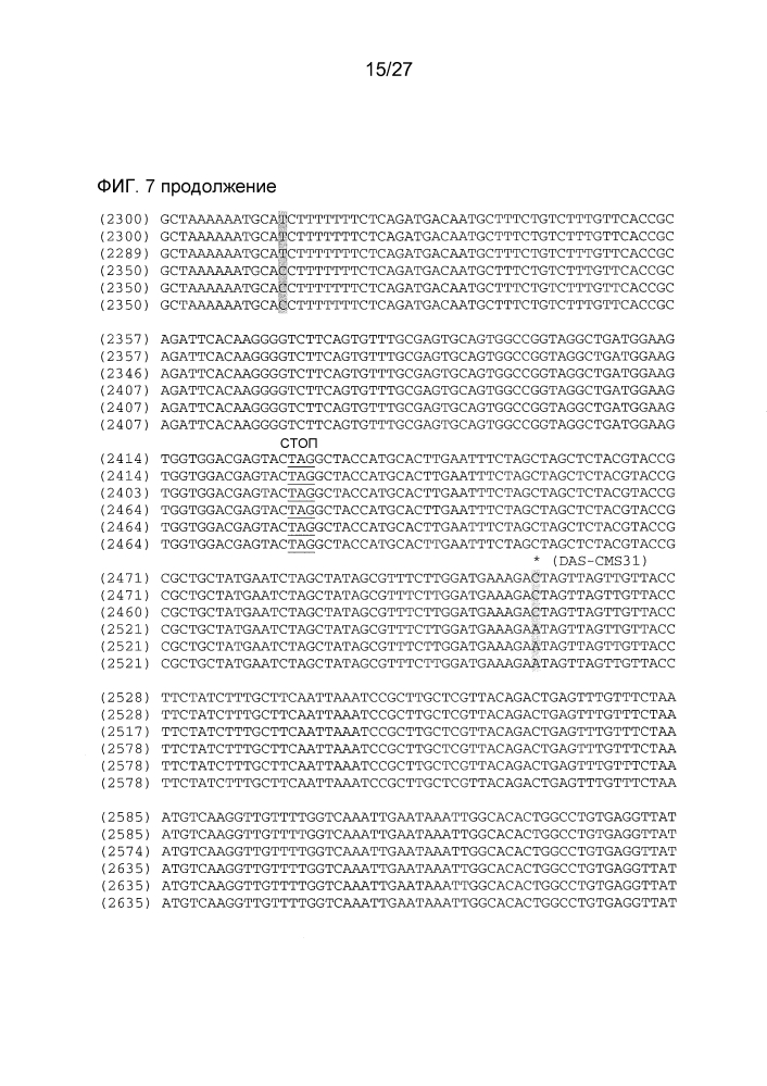 Ген-восстановитель rf4 для цитоплазматической мужской стерильности (cms) c-типа кукурузы, молекулярные маркеры и их применение (патент 2603005)