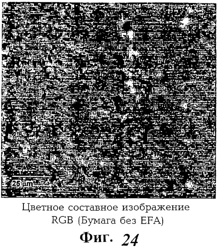 Волокна из зерен растений и их использование (патент 2278914)