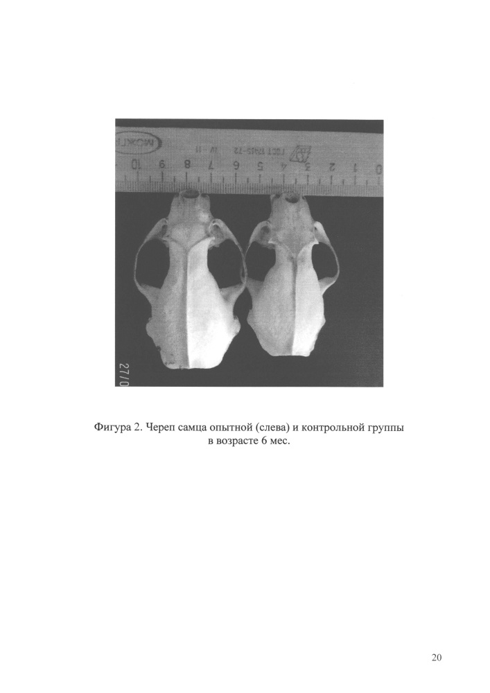 Способ улучшения морфогенеза черепа самцов и самок американской норки окрасочного генотипа standart (+/+ +/+) (патент 2637359)