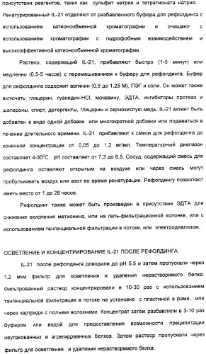 Продуцирование il-21 в прокариотических клетках-хозяевах (патент 2354703)